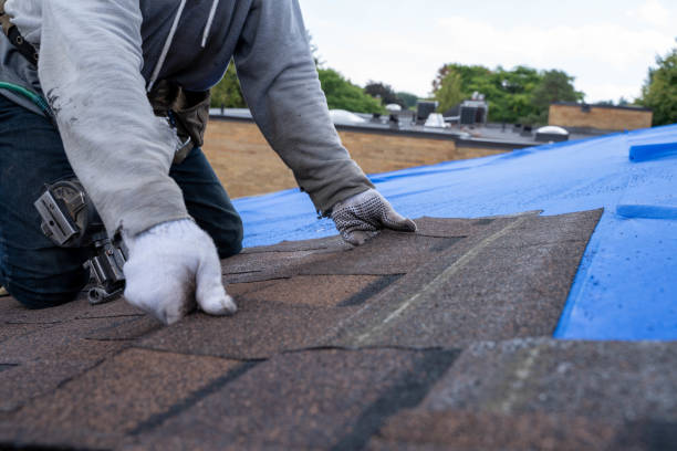 Best Commercial Roofing Services  in Ojus, FL